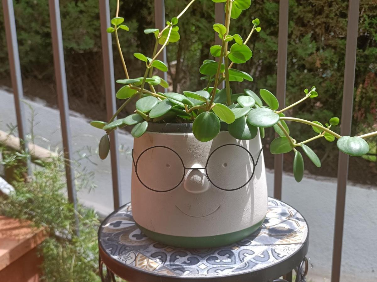 Casa Acogedora Familiar Con Piscina Pallejá エクステリア 写真